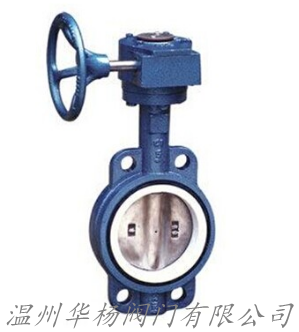 D371F4襯氟對(duì)夾式蝶閥