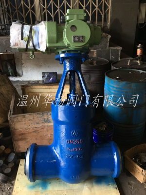 Z961Y-P54170V電站閘閥