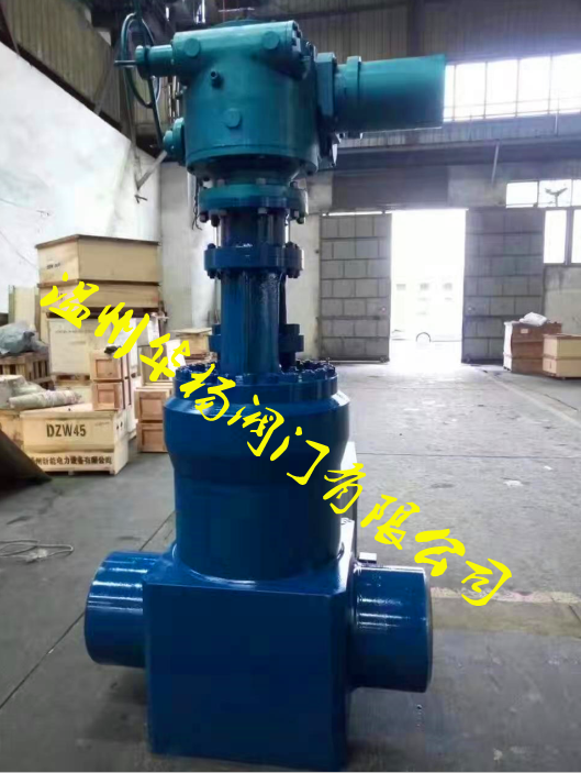 電站閥門(mén) 溫州華楊閥門(mén)有限公司