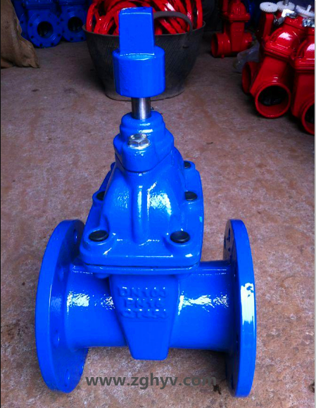 RVCX埋地式彈性座封閘閥