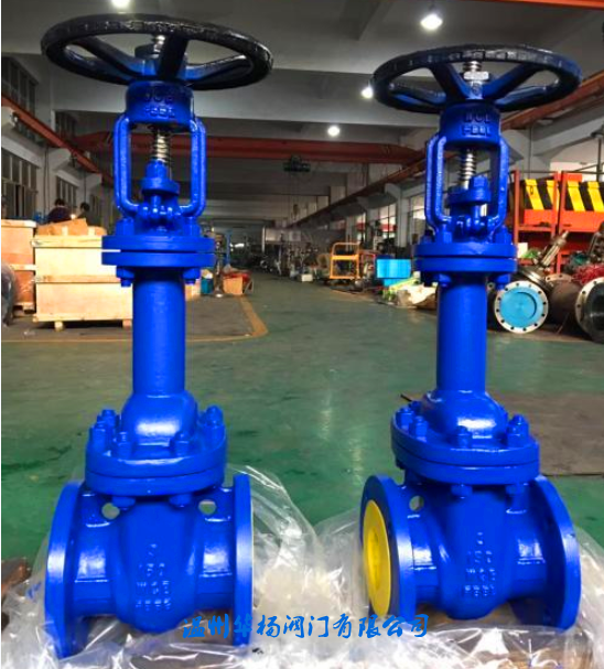 WZ41H-150LB美標(biāo)波紋管閘閥