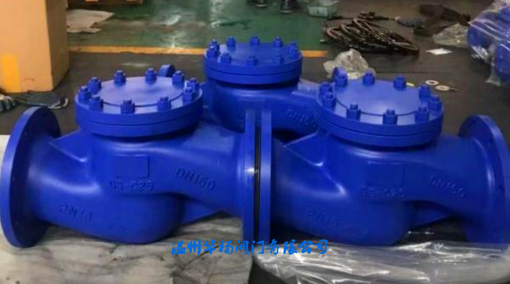 H41H-16C德標升降式止回閥